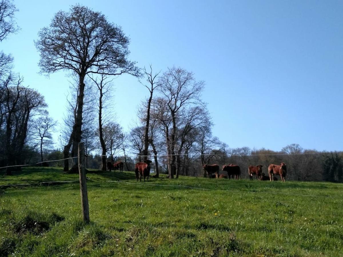 Gite Le Valet, T2 Classe 3 Etoiles, Entre Rennes Et Saint-Malo La Chapelle-aux-Filtzmeens Luaran gambar